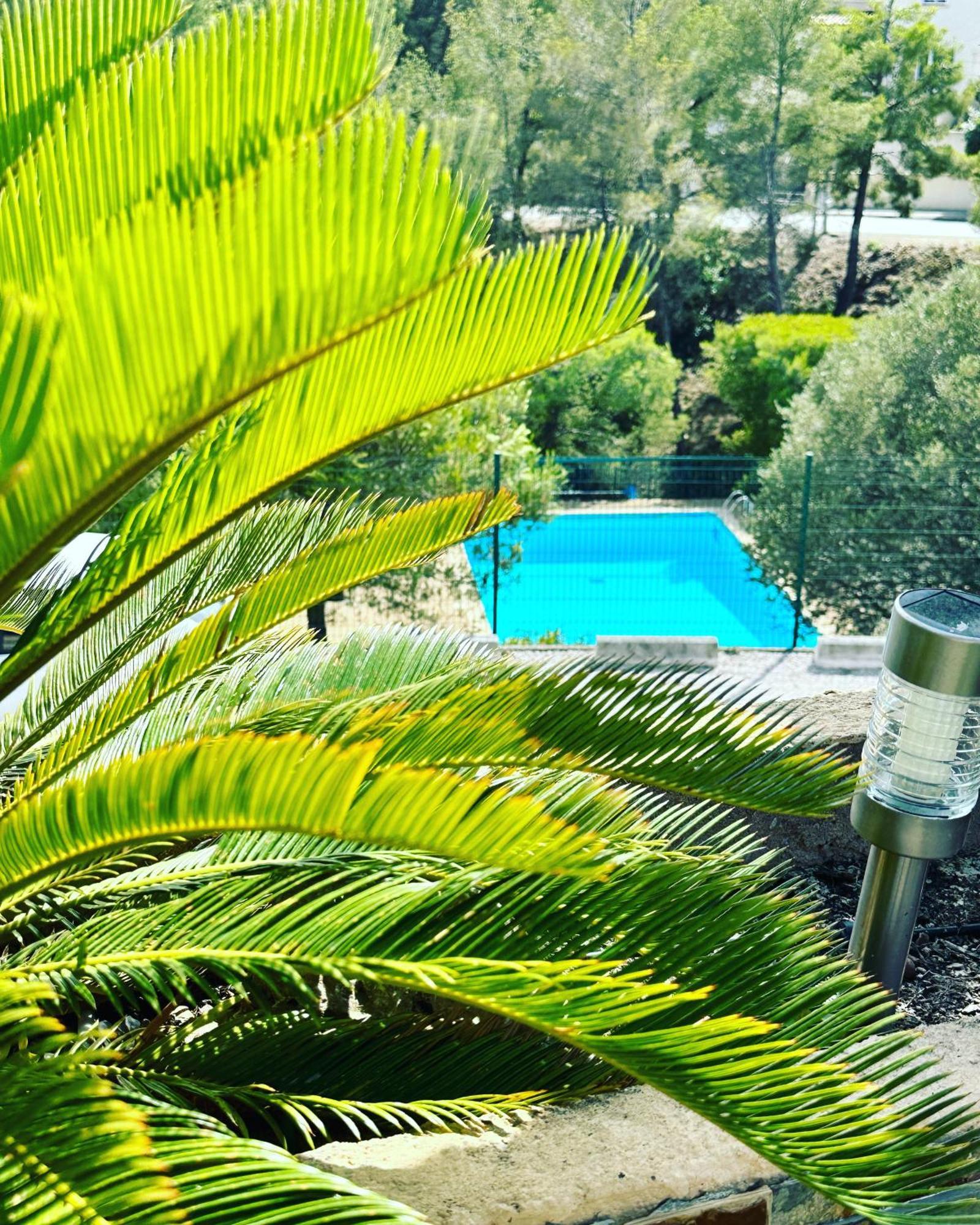 Vuemer Bandol - Grande Terrasse De 45M2 Vue Mer Piscine Parking Εξωτερικό φωτογραφία
